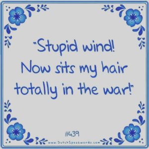 stupid-wind